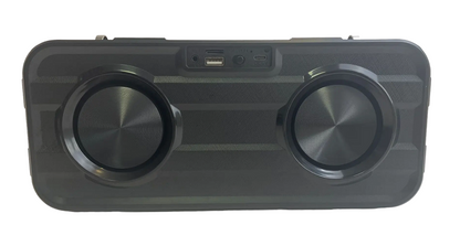 Ασύρματο ηχείο Bluetooth με 2 μικρόφωνα Karaoke - WS950 - 810248 - Black